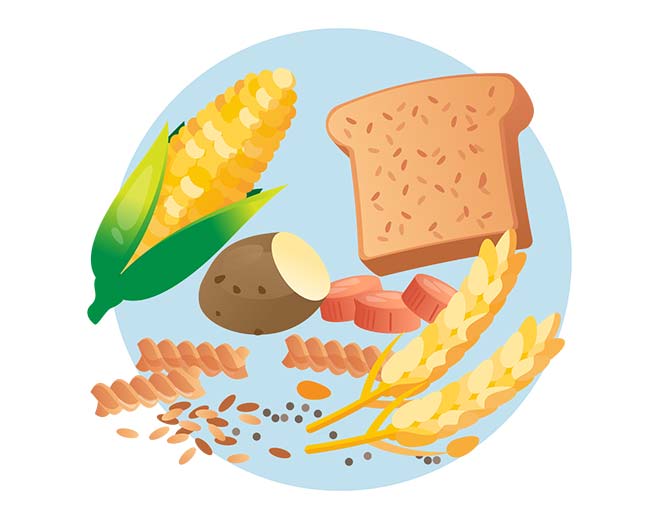 Whole grains bread corn and pasta illustration